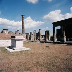 Das Forum